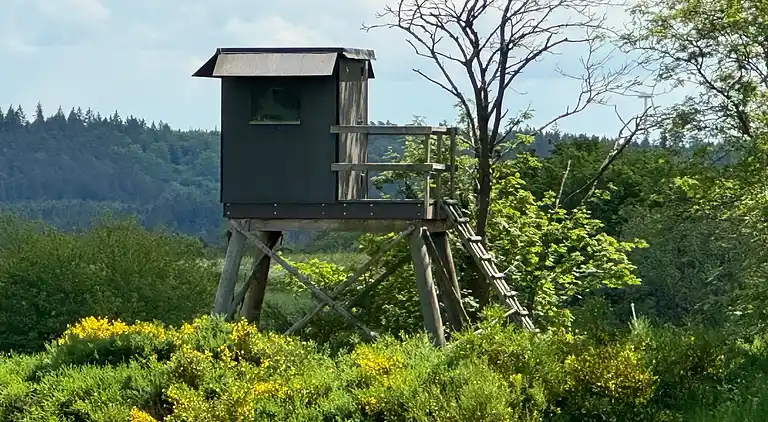 Feriebolig i Scheuren