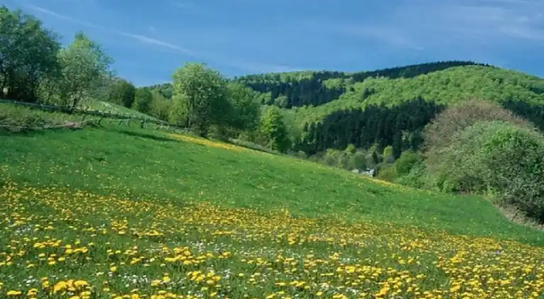 Holiday home in Elpe