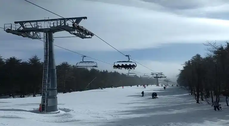 Holiday home in Elpe