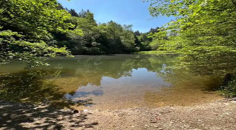 Holiday home in Elpe