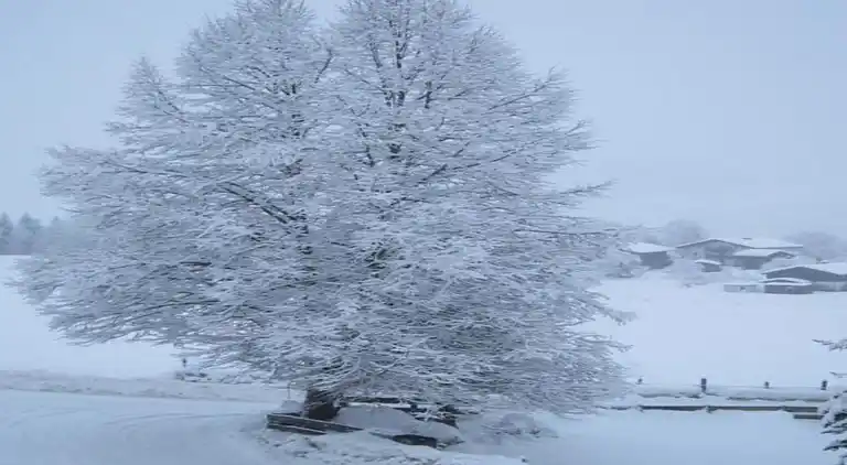 Appartamento in Niedernsill