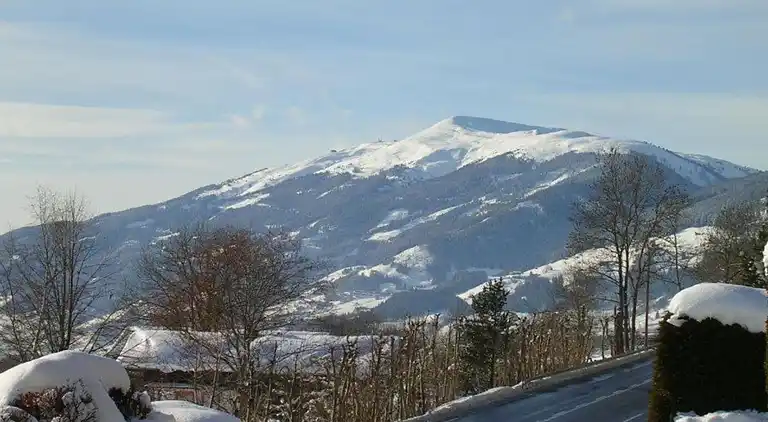 Sommerhus i Mittersill