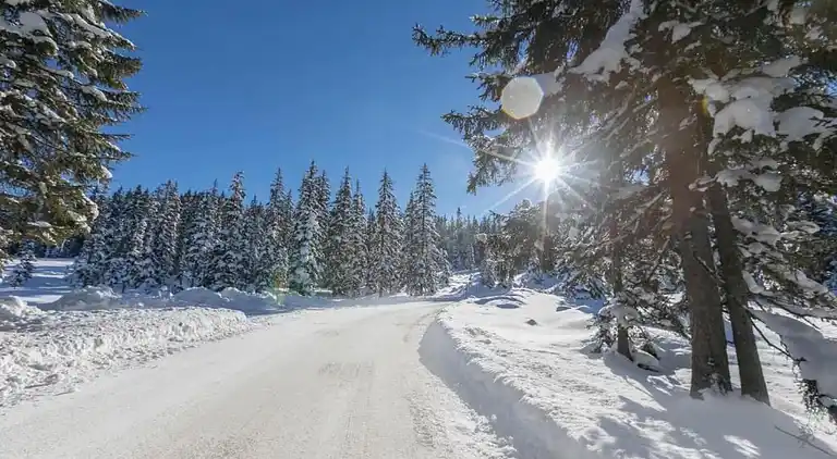 Apartment in Mittersill