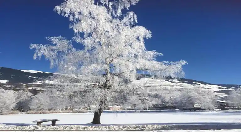 Apartment in Mittersill