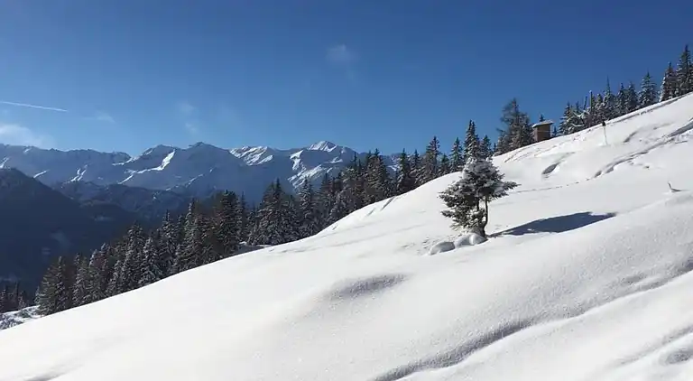 Sommerhus i Mittersill