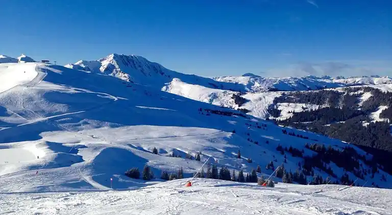 Sommerhus i Mittersill