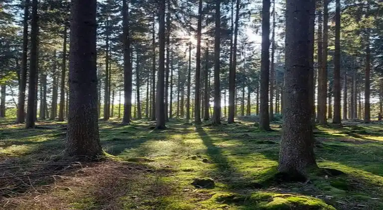 Villa on Costa Blanca