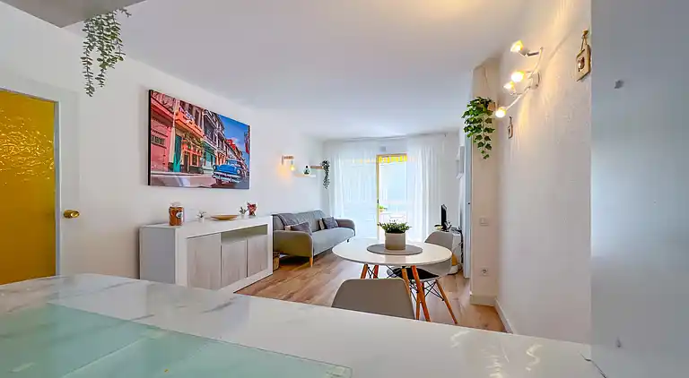 Apartment in Pineda de Mar