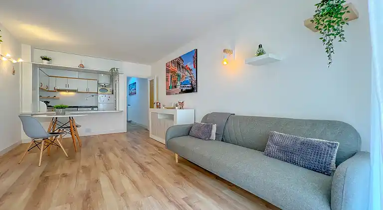 Apartment in Pineda de Mar