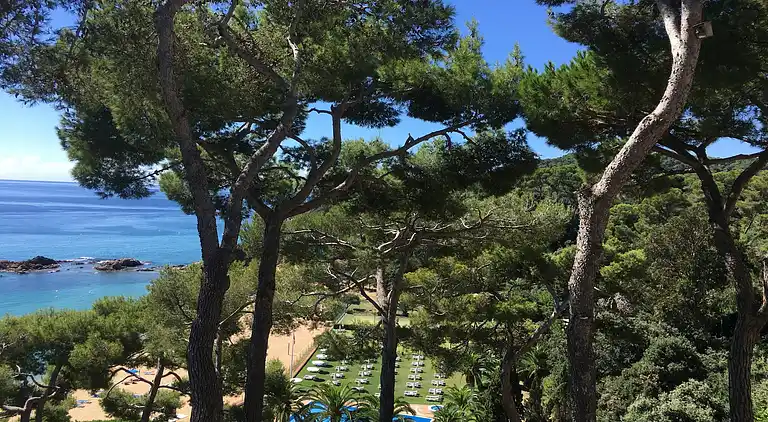 Apartment in Lloret de Mar