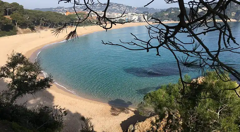 Apartment in Lloret de Mar