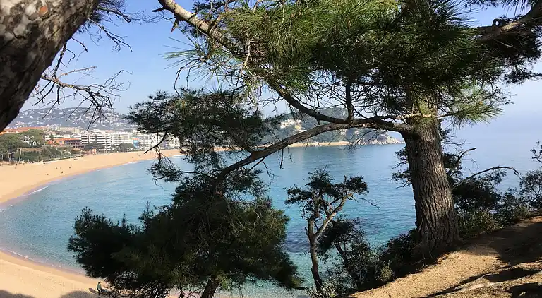 Apartment in Lloret de Mar