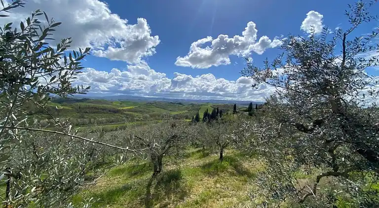 Ferienhaus in Guerting