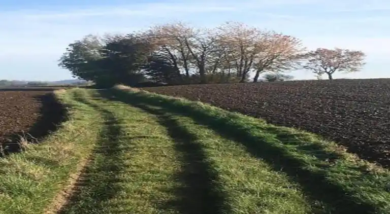 Holiday home in Goulien