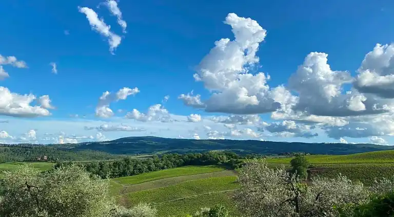 Ferienhaus in Guerting