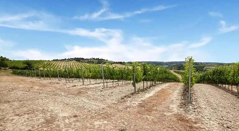 Ferienhaus in Guerting