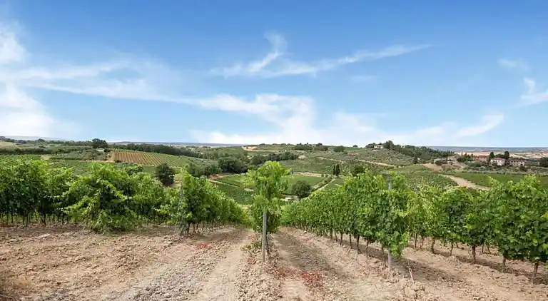 Ferienhaus in Guerting