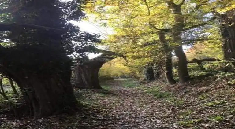 Holiday home in Goulien