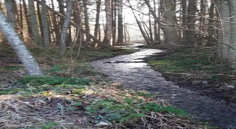 Holiday home in Goulien