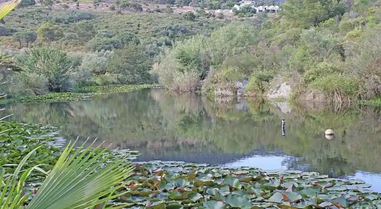 Villa in Cavalaire-sur-Mer