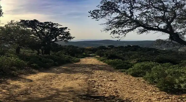 Villa in Cavalaire-sur-Mer
