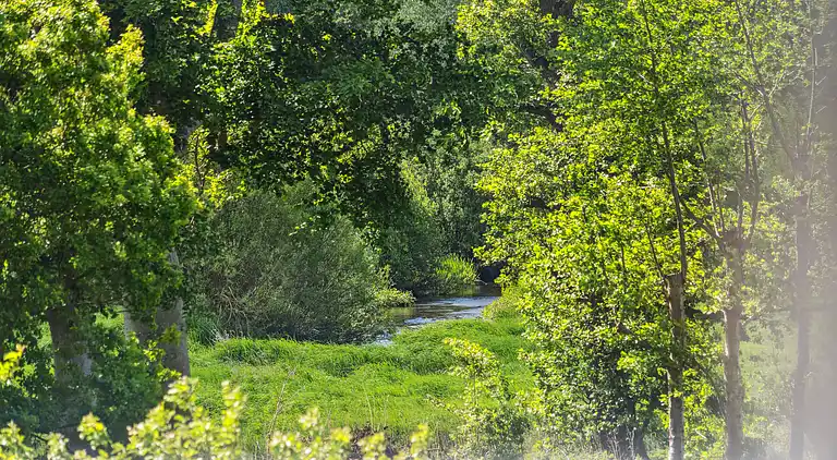 Stort feriehus ved Tønder