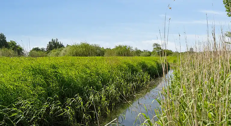 Stort feriehus ved Tønder