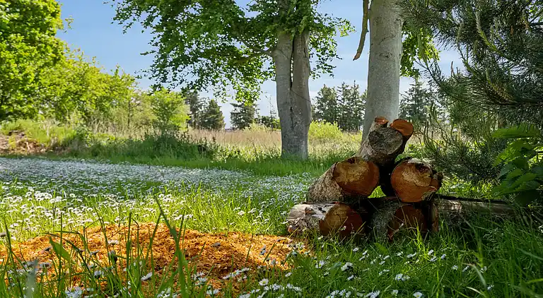 Stort feriehus ved Tønder