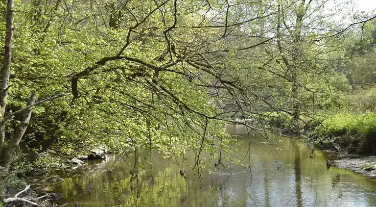 Holiday home in Jehonville