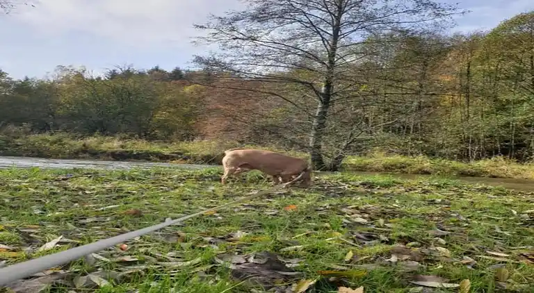 Holiday home in Jehonville