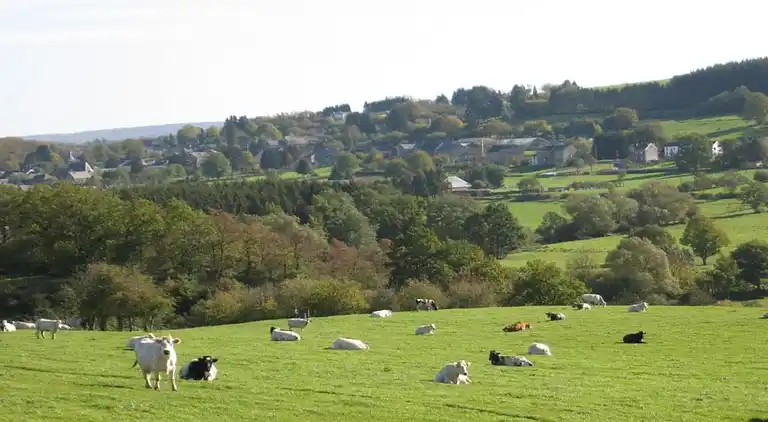 Holiday home in Haltinne