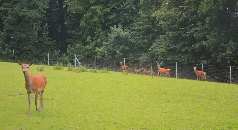 Holiday home in Haltinne