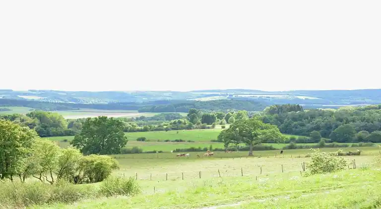 Holiday home in Haltinne