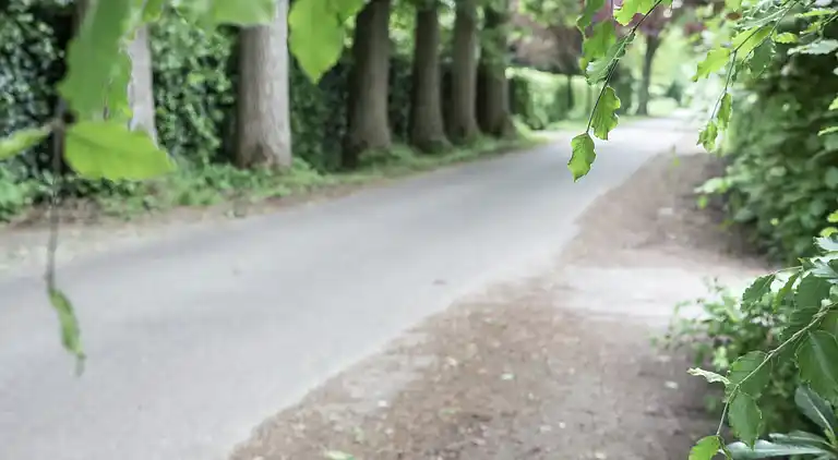 Holiday home in Westmalle