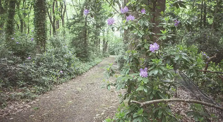 Holiday home in Westmalle