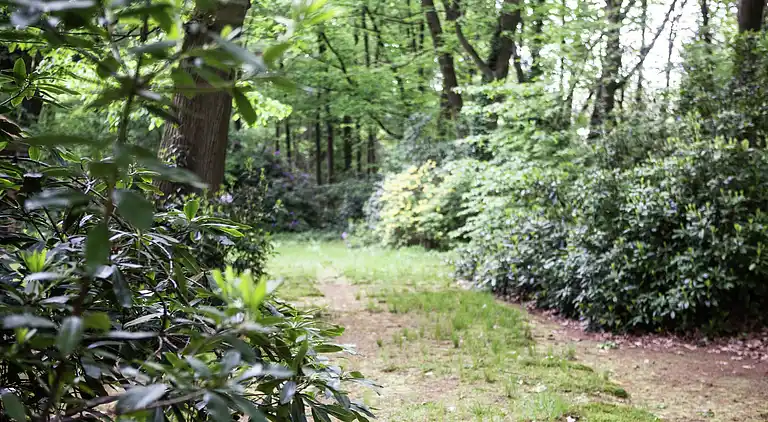 Holiday home in Westmalle