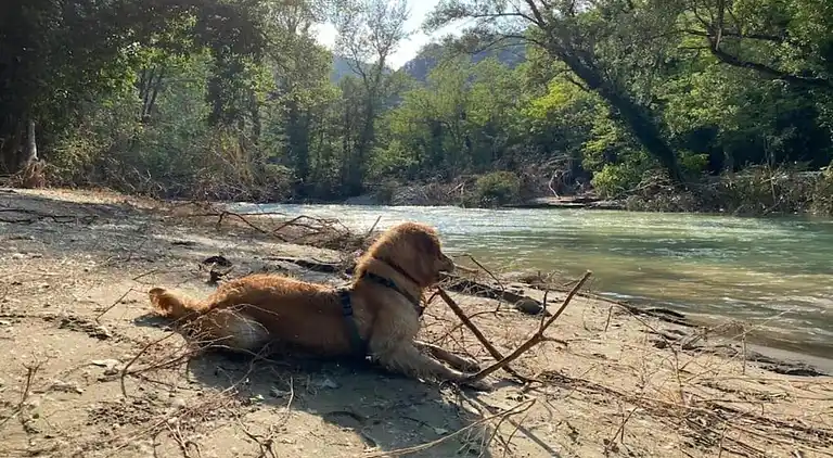 Ferielejlighed i Modigliana