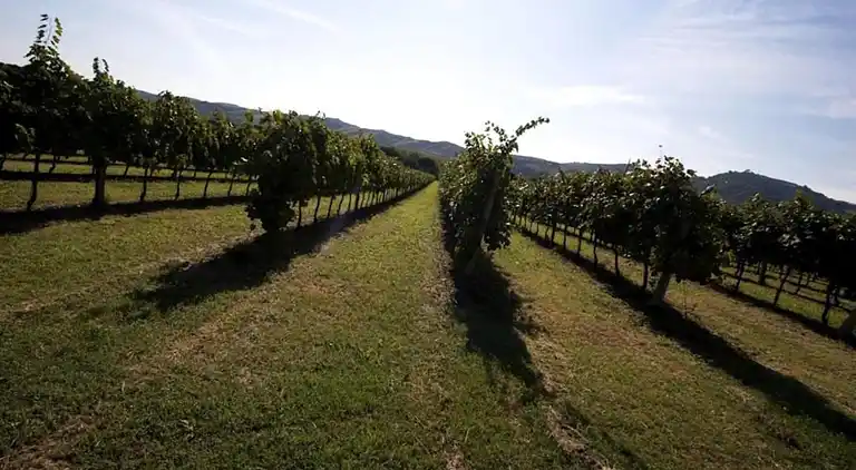 Lägenhet i Modigliana