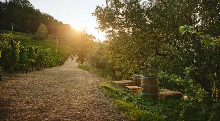 Ferielejlighed i Modigliana