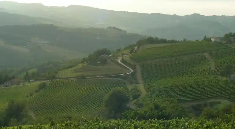 Ferielejlighed i Modigliana