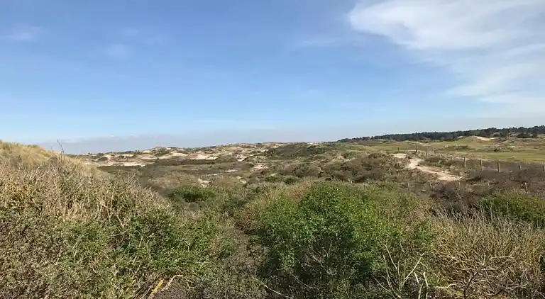 Holiday home in South Holland
