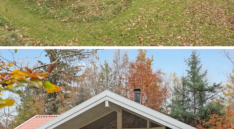 Hyggeligt sommerhus midt i naturskønt område