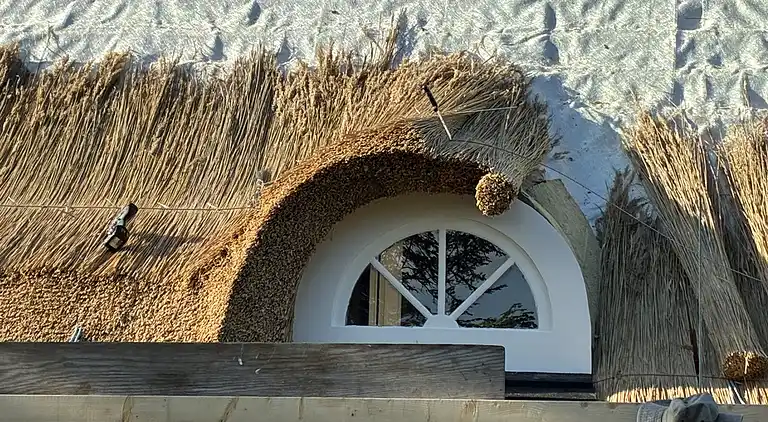 Nyt stråtag - smuk udsigt til hav og  klipper