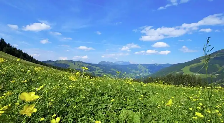 Stuga i Saalbach-Hinterglemm