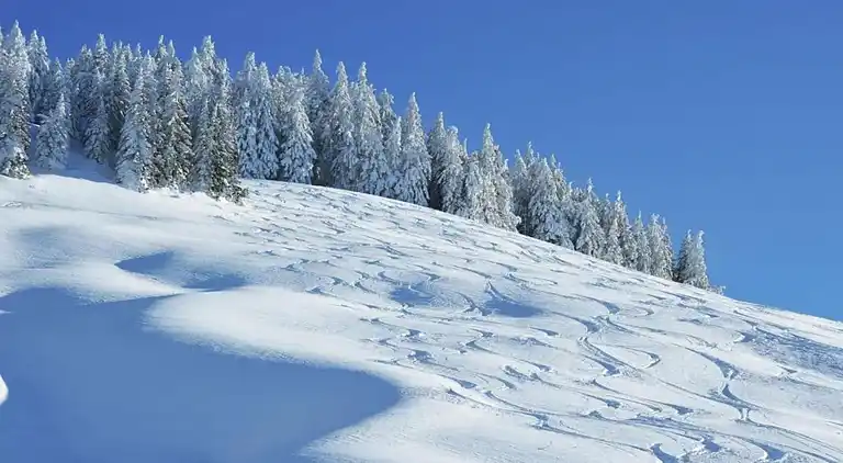 Stuga i Saalbach-Hinterglemm
