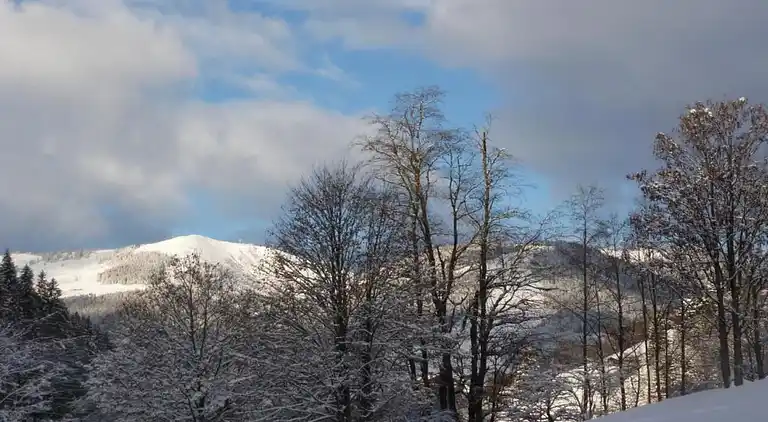 Hytte i Kreuzerlehen