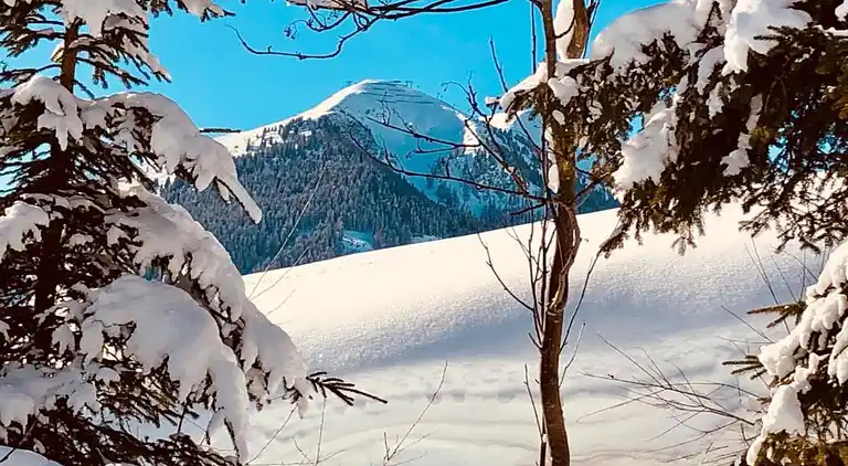 Cottage in Saalbach-Hinterglemm