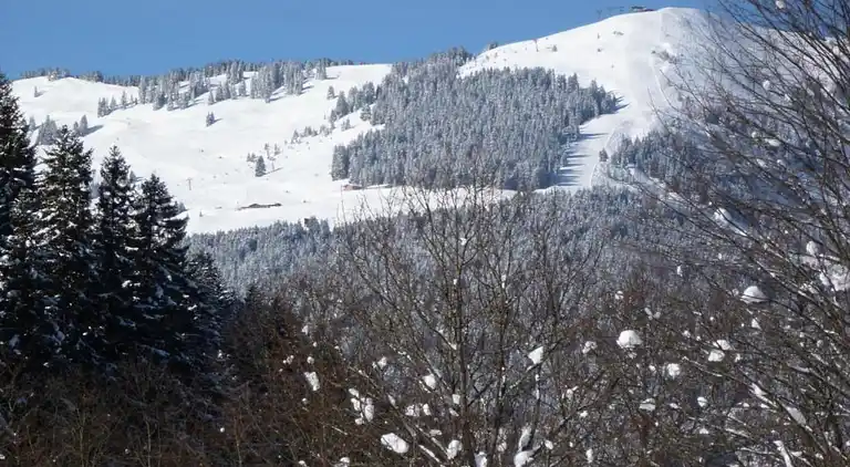 Hytte i Saalbach-Hinterglemm