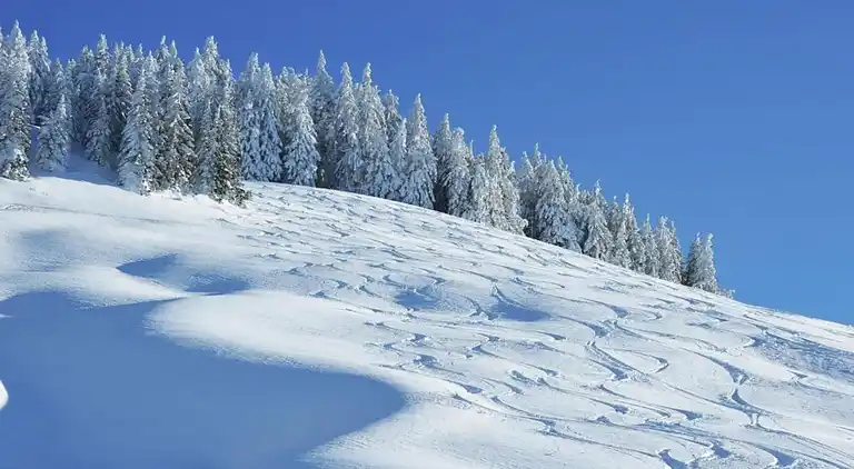 Hytte i Kreuzerlehen