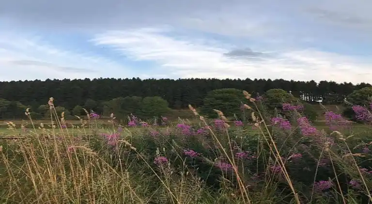 Vakantiehuis in Züschen